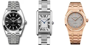 luxury watch collector selection